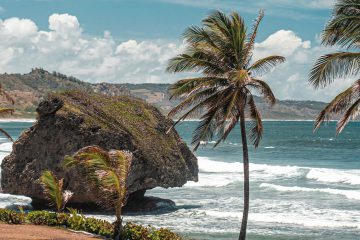 flights to barbados